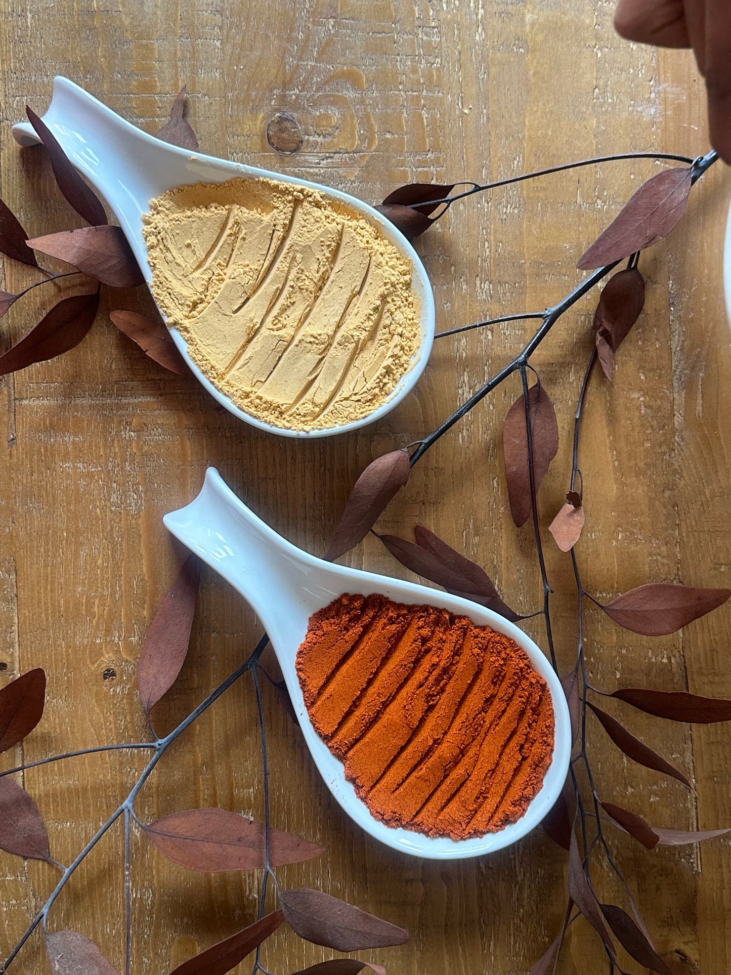 Spice and Soul (Berbere + Shiro)