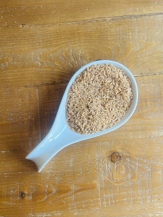 Aja Kinche [Ethiopian Oats] – The Morning Tradition