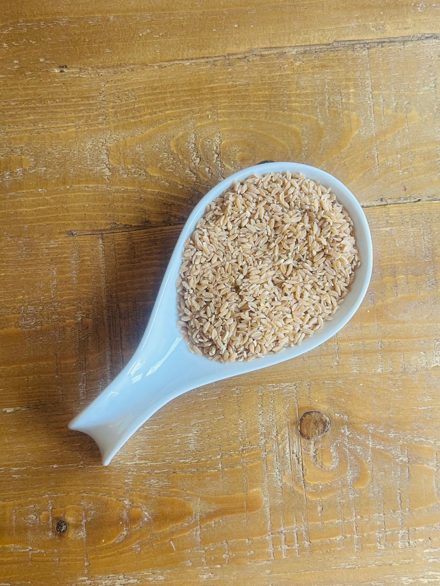 Aja Kinche [Ethiopian Oats] – The Morning Tradition